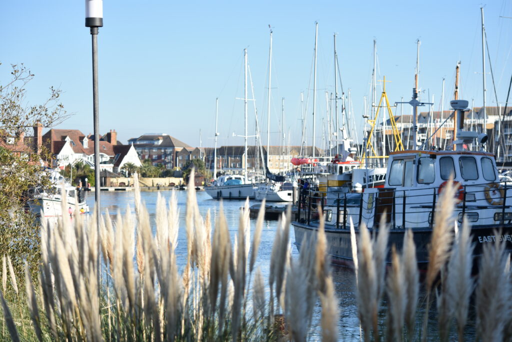 A harbour with tall reeds and docked boats.